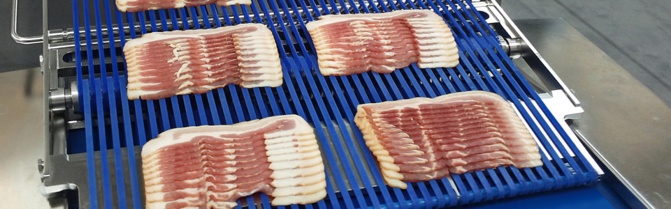 3364_FOOD_RoundBelt_Slicer+FlatBelt_blue_h_2 Version DW