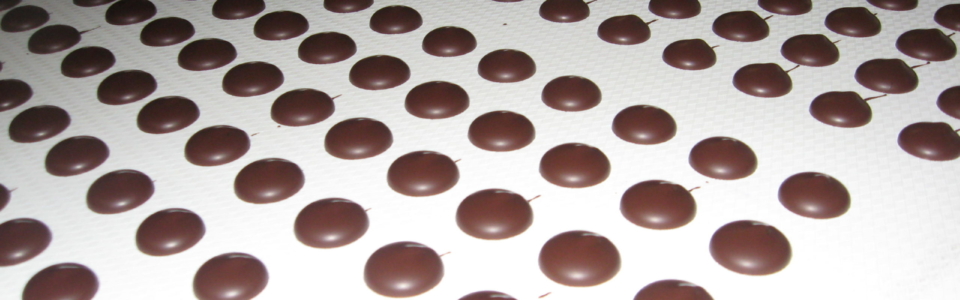 894_Caffarel Sollich 002