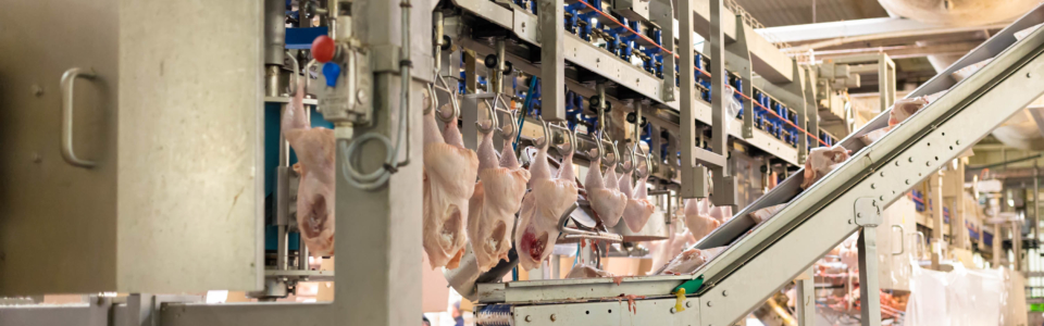 Poultry Processing Plant