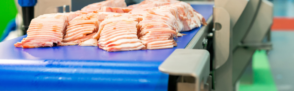 Close up pork or meat sliced on conveyor of automatic and precision slicer machine for industrial food manufacture
