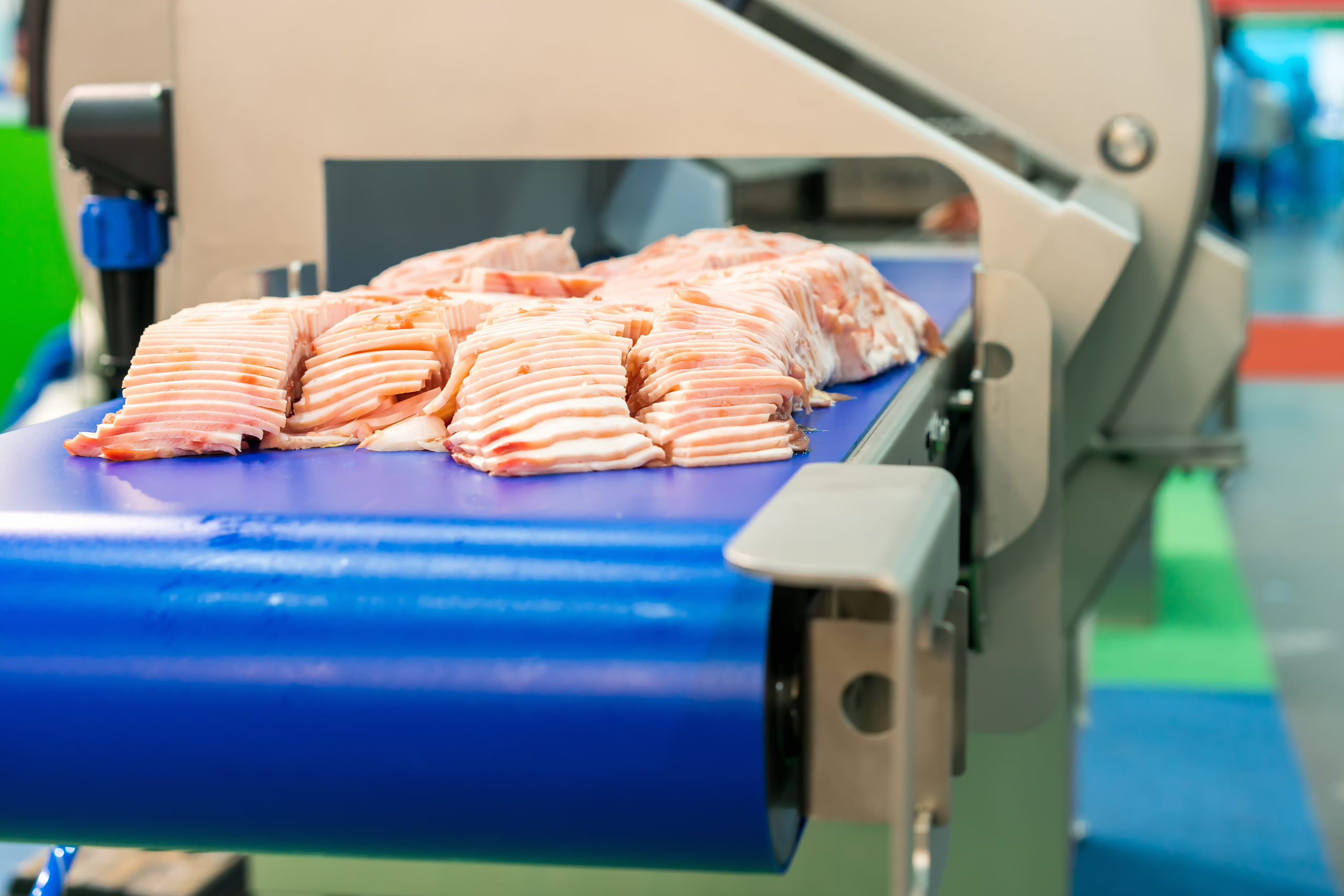 Close up pork or meat sliced on conveyor of automatic and precision slicer machine for industrial food manufacture