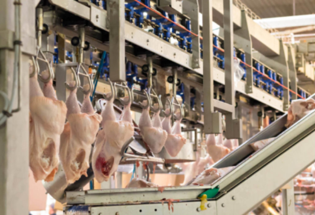 xrayfoodprocessingcasestudy Midwest Industrial Rubber