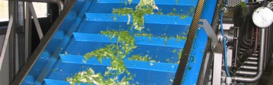 IMG_0017 (1)