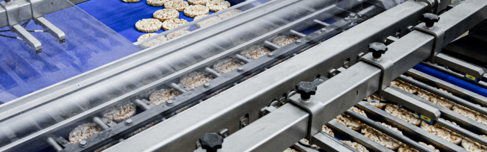 sorting of round dietary loaves on the conveyor automated machine