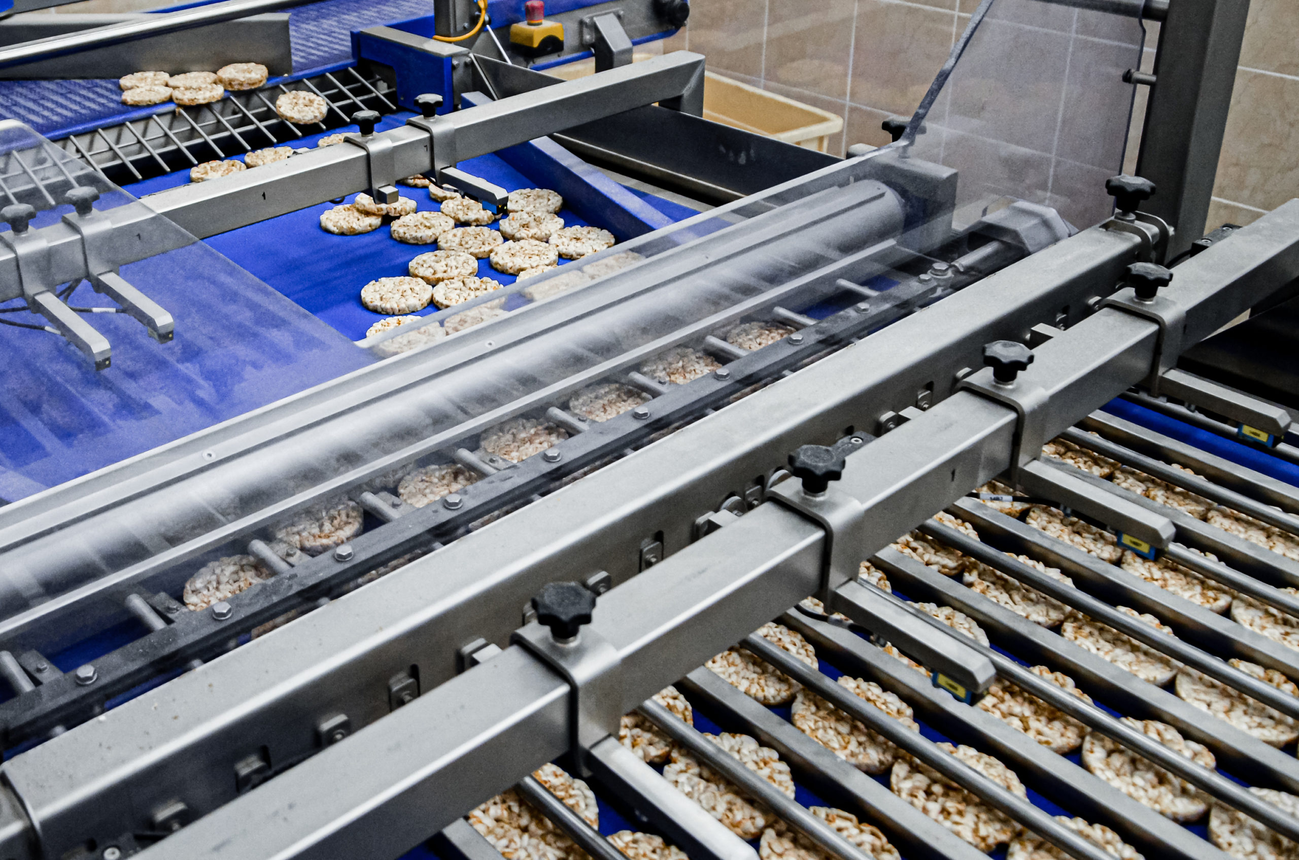 sorting of round dietary loaves on the conveyor automated machine