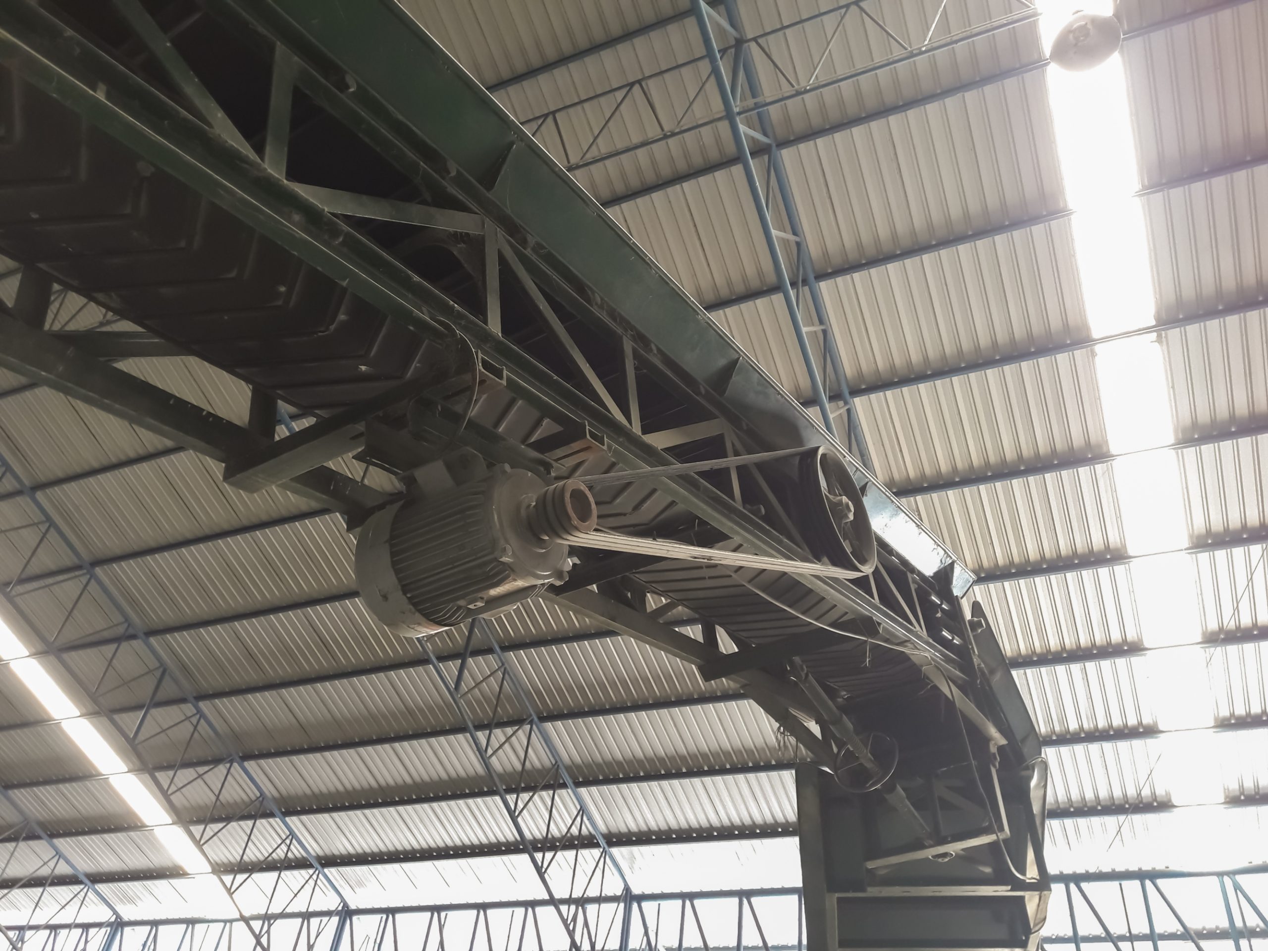 Conveyor belt in rice mill